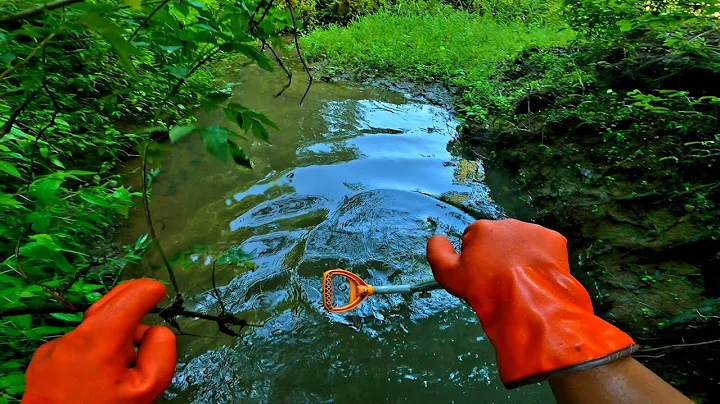 Beaver Dam Removal! || You Won't Believe What We J...