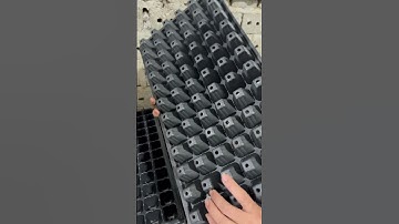 Khay bầu ươm cây giống , ươm hạt giống tiện lợi năng suất cao