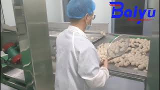 Full Automatic Meatball, fishball, Shrimp balls Production Line, Meatball Forming and Cooking System