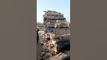 Very Dangerous Wood Unloading #sawblade #woodworking #sawmill #construction #wheelsaw #unloading
