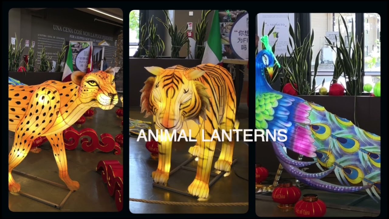 Video preview of illuminated lantern displays from the Italy project