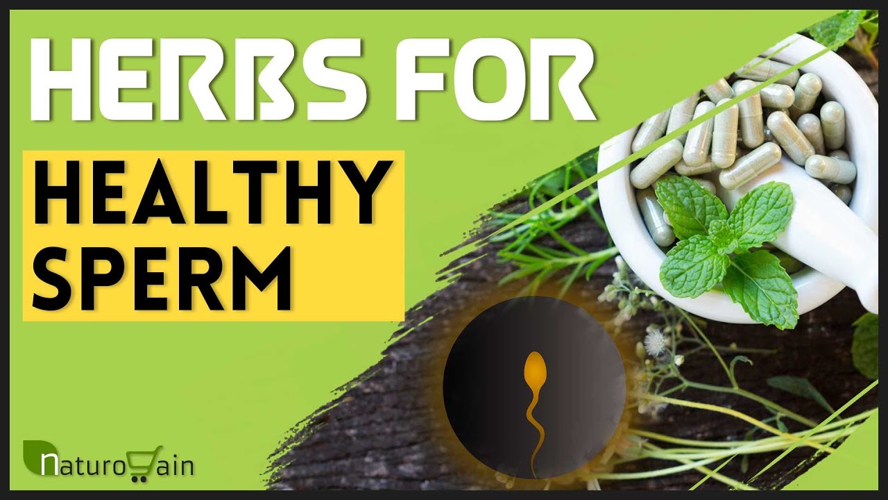 Top 5 Herbs To Increase Sperm Count, Fertility, Motility And Volume