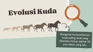 Evolusi Kuda - Hyracotherium, Kuda Pertama yang Hidup 55 Juta Tahun Lalu #evolusi #Hyracotherium Evolusi Kuda - Hyracotherium, Kuda Pertama yang Hidup 55 Juta Tahun Lalu #evolusi #Hyracotherium