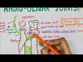 Radio ulnar joints  anatomy  upper limb