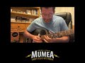 How Memphis Blues Guitar Got Meaner | Willie Johnson &amp; the Helena Connection