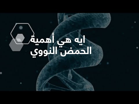 نيوكليون | إيه هي أهمية الحمض النووي؟