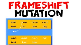 Frameshift mutation