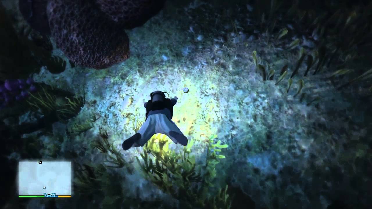 Gta 5 Ps4 Gameplay (Play as a Shark) Fish, Dolphin, Orca, Stingray & more!