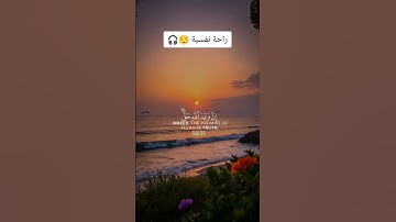 لا تهرب إنه القرآن الكريم #duet #اكسبلور #دويتو #الجيلي #عشاءلذيذ #لايك #راحة_نفسية #تيك_توك