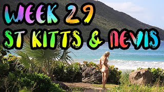 Our Top 5 Movies, Dorothy Learns to Swim, and the Hermitage!! /// WEEK 29 : St. Kitts and Nevis
