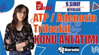 9.Sinif - Tyt Bi̇yoloji̇ Atp Adenozin Trifosfat Konu Anlatımı