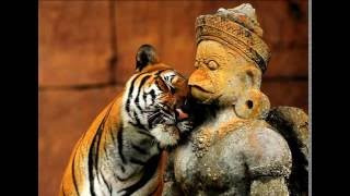 Moody Sanchez - After Laughter (boombap delight)