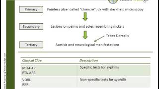 Internal Medicine ABIM Board Exam Review Question: Syphilis