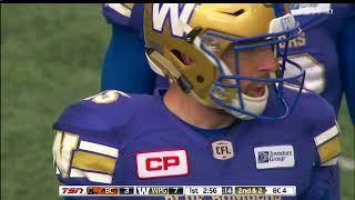 Winnipeg Blue Bombers Matt Nichols First Touchdown Catch