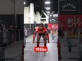 Sidney Wilson ladder clearing