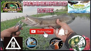 SNAKEHEAD FISHING | USING HAMMER HEAD | TOP WATER LURE