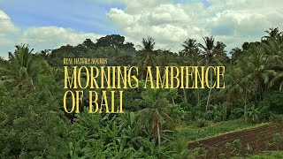Morning Ambience of Bali - Real Nature Sounds