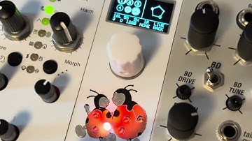 DOTS synthesizer 🐞 diy eurorack module demo video