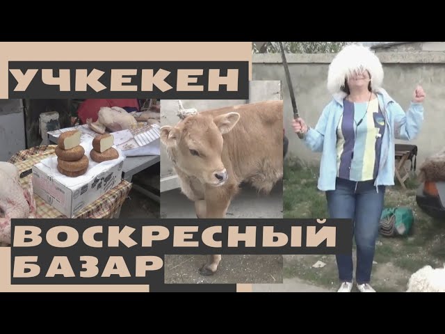 В Карачаево-Черкесии безработные выживают за счет торговли вязаными вещами (Видео)