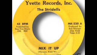 Video thumbnail of "The Stridells   Mix It Up"