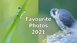 Wildlife Photography UK - My Favourite Photos from 2021