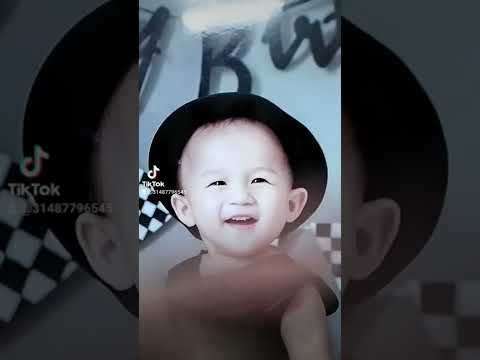 Video Bức ảnh biết chu mỏ - youtube