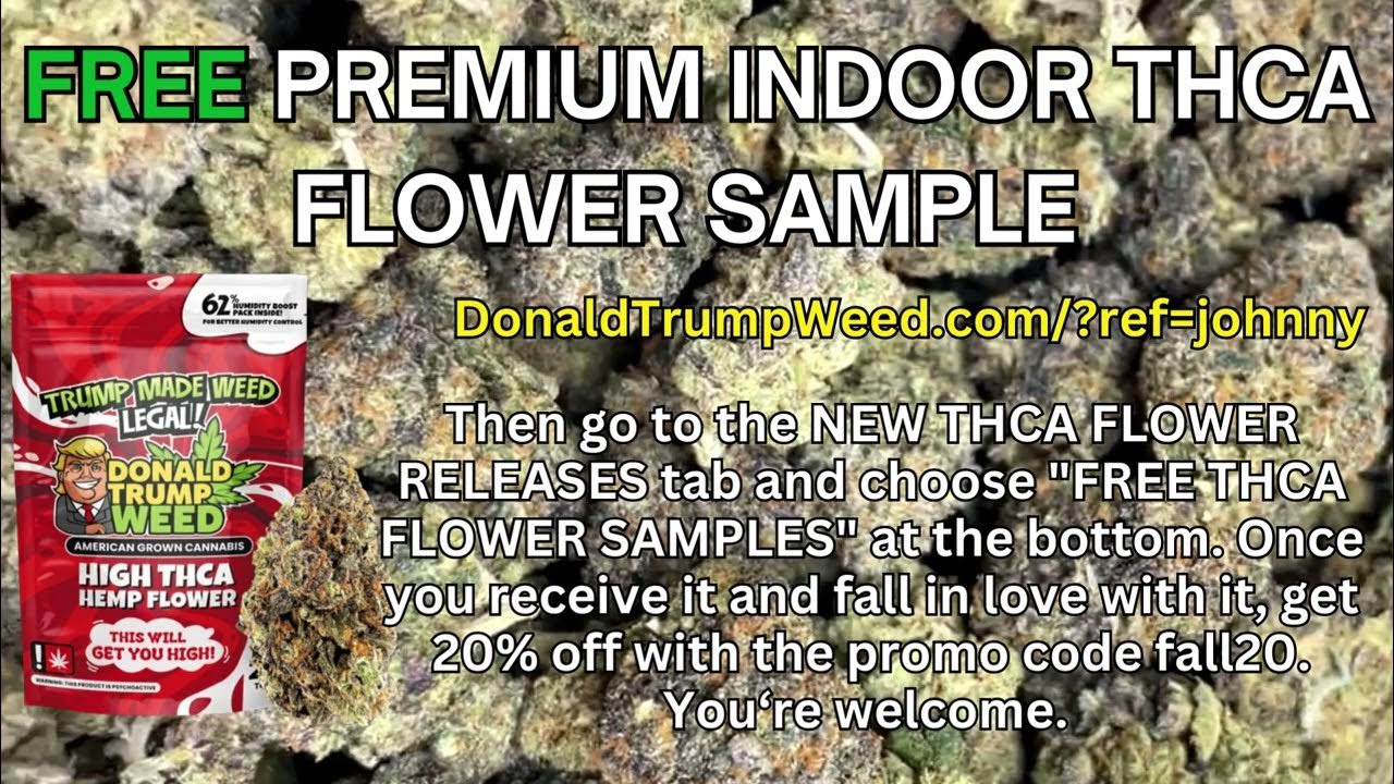 Free premium indoor thca flower sample youtube