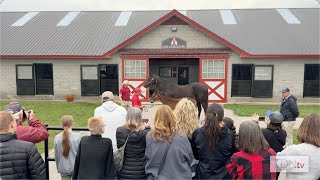 Follow Along For A Tour Of Taylor Made Farm