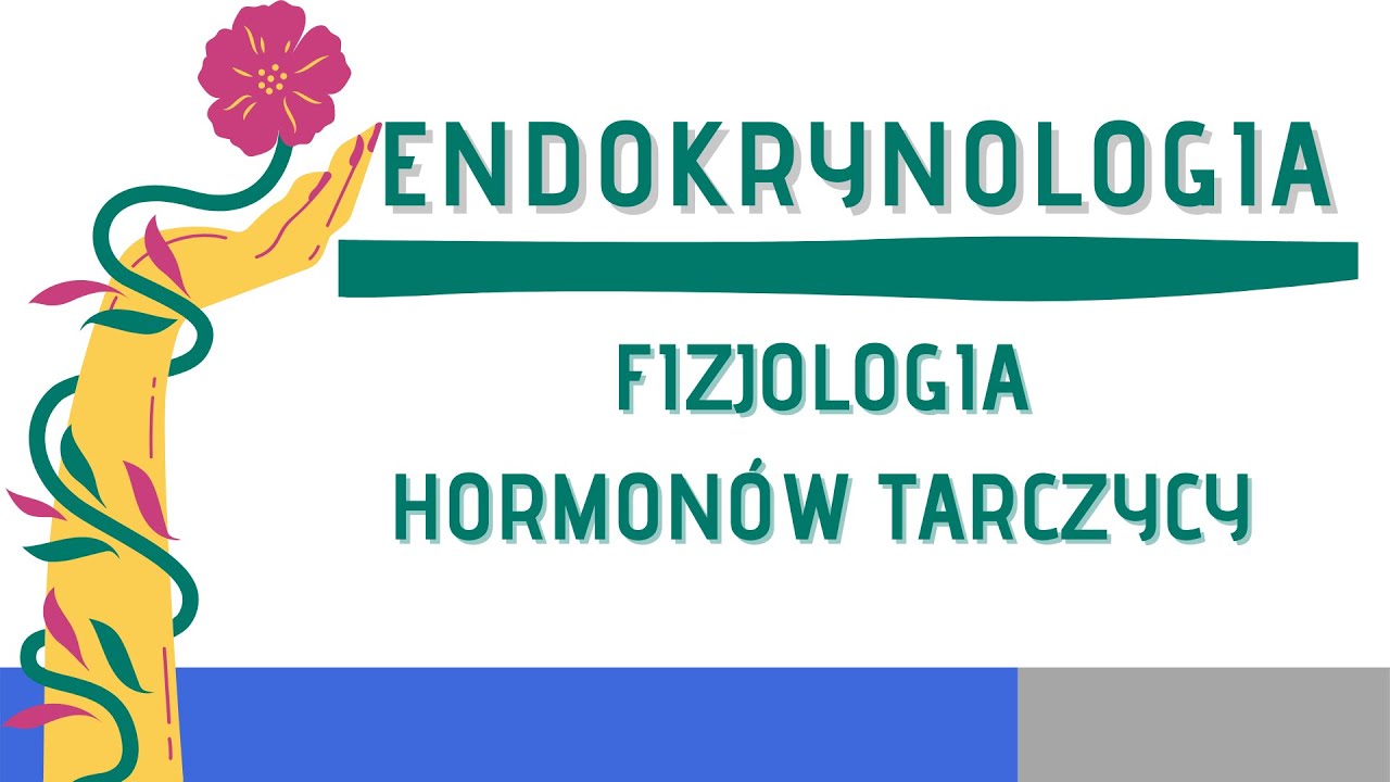 Fizjologia hormonów tarczycy — Transcript