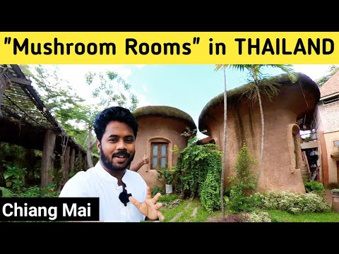 Exploring CHIANG MAI || North Thailand || Chennai Vlogger Deepan