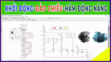Khởi Động Đảo Chiều Hãm Động Năng Động Cơ KĐB 3 Pha |CADe Simu #34