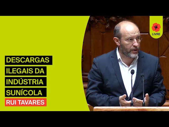 Combater as descargas ilegais da indústria suinícola