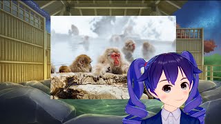 12 Rules of Onsen (Japanese Hot Springs) / GENKI L6/ V te wa ikemasen