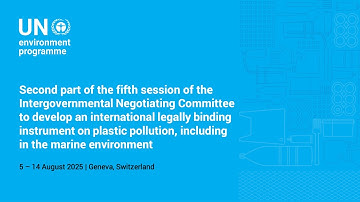 INC-5.2 on plastic pollution (part 1)