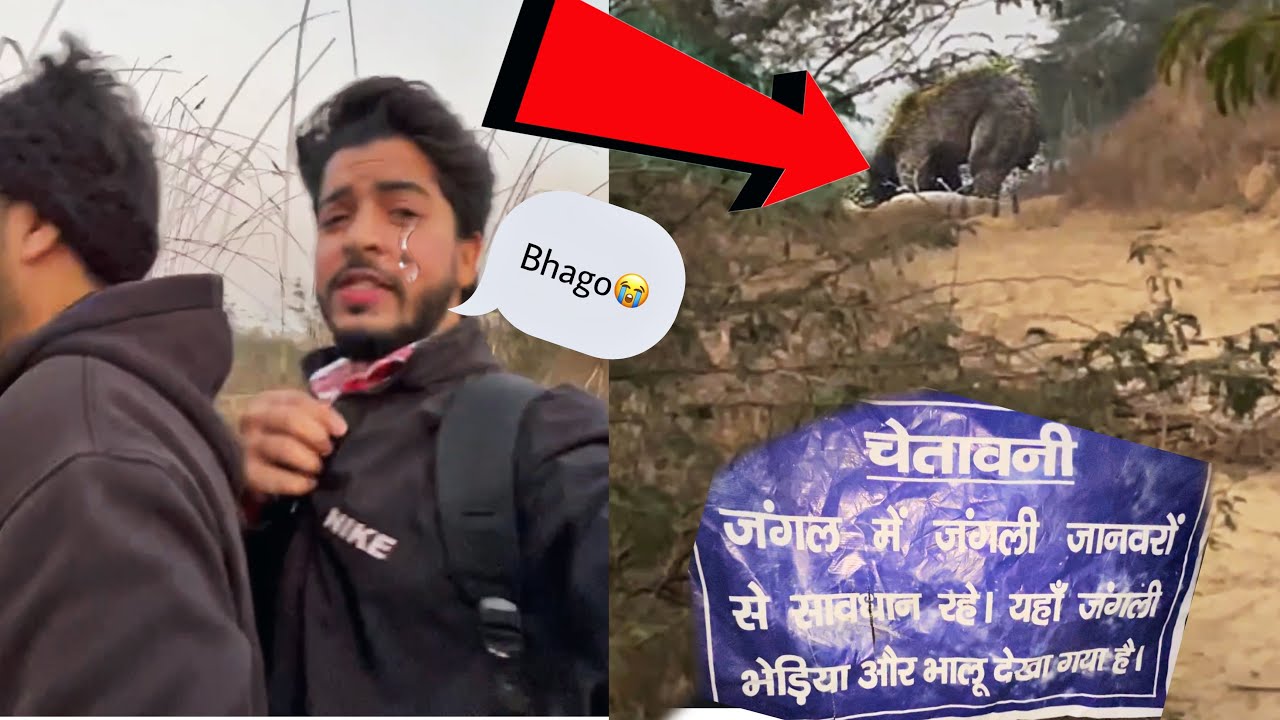 Junglee भालु piche pad gaya 😰😭 jungle mai