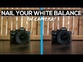 NAIL YOUR WHITE BALANCE IN CAMERA EVERY TIME / Sony a7iii, a7sii