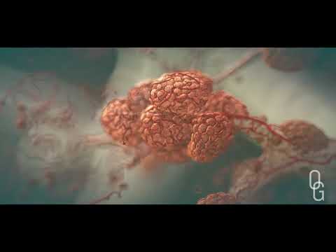 What Started The Coronavirus 2019 2025