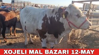 12-МАЙ/ХОЖЕЛИ МАЛ БАЗАРЫ/СКОТНЫЙ РЫНОК/BUQALAR/BIG BULLS IN THE WORLD/BIG COW