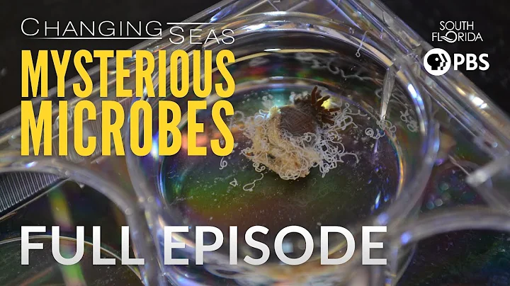 Mysterious Microbes - Full Episode - DayDayNews
