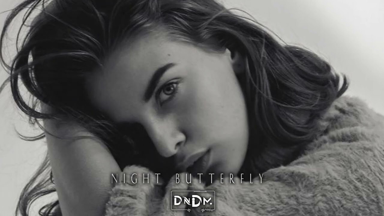 DNDM - Night Butterfly (Original Mix)