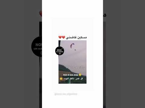 كل نفس ترجع إلى خالقها