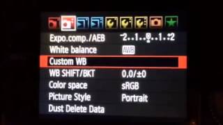 Gary Fong Color Gel Set for Lightsphere Collapsible - Off Camera Flash Demo screenshot 5