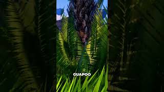 ¡Este novato confunde troncos con amigos! ¡Flipante!