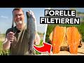 FORELLE FILETIEREN wie ein Profi 🔪 einfach, schnell &amp; grätenfrei!