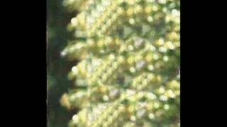 Photoshop Glory screenshot 3