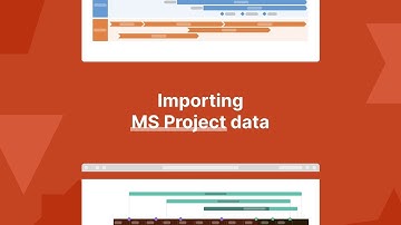 Importing from MS Project | Office Timeline Online