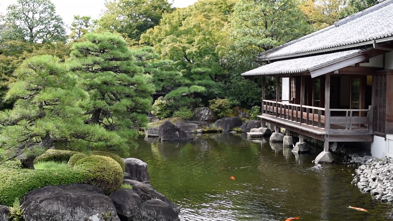 «Изучение японских садов: Очарование прудов в садовом дизайне»