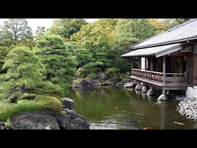 日本の庭 2025.5.4🌱みどりの日🌱 今日は年に3日しかない 👘日本庭園無料