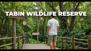 Exploring Tabin Wildlife Reserve Sabah Unforgettable Jungle Treks